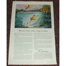 1949 Travelers Insurance Ad, Branta - Canada Goose!!