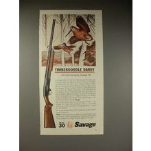 1964 Savage 30 Shotgun Ad - Timberdoodle Dandy!