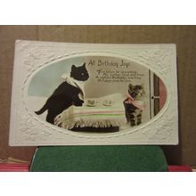 BIRTHDAY JOY'S .. used vintage postcard RP 1931 postmark kittens cats