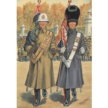 Ensigns 41 Commando Royal Marines at Buckingham Palace Postcard