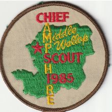 Scout Badge UK Chief Scout Visit - Middle Wallop 1985 - Used (A1)