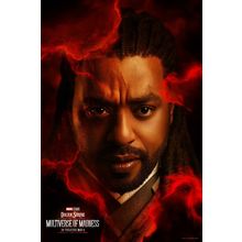 Doctor Strange in the Multiverse of Madness (2022)_13 Movie Film Poster Canvas i