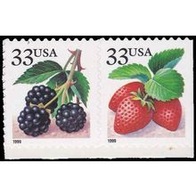3297-3296 33c Fruit Berries Fine MNH BPS Hor Pair RS V5041