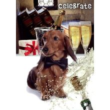 Celebrate - Congratulations - Achievement Greeting Card - 00797
