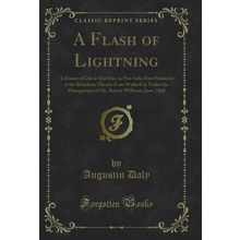 A Flash of Lightning: A Drama of Life in Our Day, in Five Acts