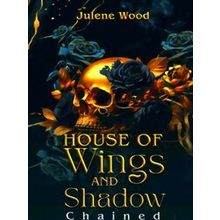 House Of Wings And Shadow - Julene Wood