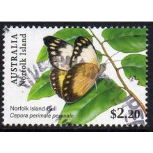 Norfolk Island 2021 Butterflies - Norfolk Island Gull $2.20 Used