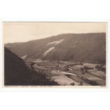 Rheidol Valley White Stag Aberystwyth Postcard Cardiganshire 39590