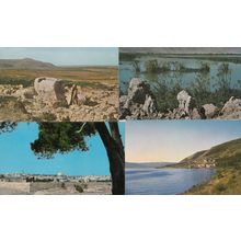 Jerusalem From Kidron Valley Papyrus Plants 4x Isreal Postcard s