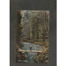 Postcard Devon Lydford The Gorge