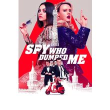 The Spy Who Dumped Me 3 Poster Canvas Movie Film Print A0 A1 A2 A3 A4 A5 A6 Art
