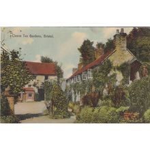 ED9 BRISTOL - CLEEVE TEA GARDENS .PRINTED POSTCARD
