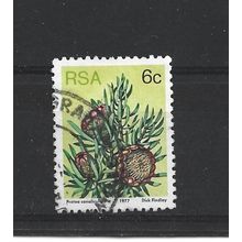SouthAfrica.SG419a 6c Protea Canaliculata.Fine Used.Sep25
