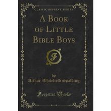 A Book of Little Bible Boys (Classic Reprint)