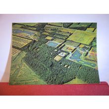 FARUP SOMMERLAND, JAMMERBUGT, N. JUTLAND, DENMARK unused postcard dated 1986 #