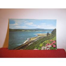 BEACH and CLIFFS, EXMOUTH, DEVON used postcard 1973 pm =
