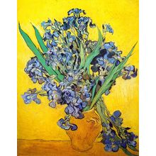 Van Gogh Vase With Violet Irises Against A Yellow Background Poster Canvas Movie