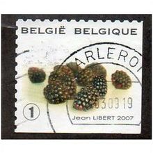 BEL 2007 (52c)(S/A) 'FRUIT- BLACKBERRIES' FINE USED (EBID10437)
