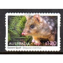 AUSTRALIA: 2023 NATIVE ANIMALS, $1.20 EASTERN QUOLL USED S/A STAMP. 042/043