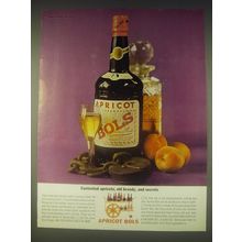 1962 Apricot Bols Liqueur Ad - Contented apricots, old brandy, and secrets