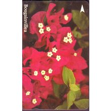 Bougainvillea S'pore $5 Telephone Card (Used)