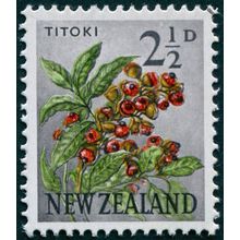 New Zealand 1961 2½d Titoki SG784 CTO