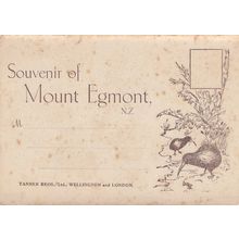 Souvenir Of Mount Egmont New Zealand Antique Folding Postcard Book
