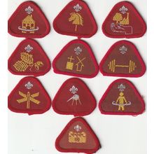 Scout Badges 10 x Cub Proficiency 1967/03-9 x Black Backs 1 x White Back (BY470)