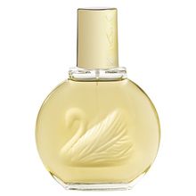 Gloria Vanderbilt Vanderbilt (L) EDT 3.4 Oz