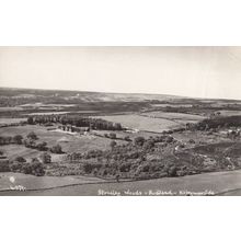 Stoneley Woods Rudland Kirbymoorside Antique Real Photo Postcard