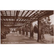 Sun Walk The Valley Gardens Harrogate Mint Real Photo Postcard