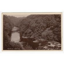 The River Hackfall Postcard RP Yorkshire
