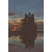 Whitby Abbey at Night James Herriott Yorkshire Postcard