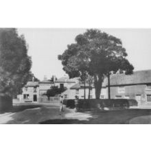 Malsters Arms Broadwater Street West Sussex Postcard