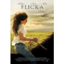 Flicka (2006)_1 Movie Film Poster Canvas iconic design