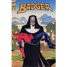Badger (Vol 2) (First) # 041 NM MODERN AGE COMICS
