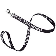 Reflective "IN TRAINING" Leash W 5/8" x L 48" - Black