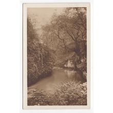 Chee Dale Miller's Dale near Buxton Postcard Derbyshire Kingsway