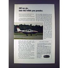 1973 Beechcraft Baron Airplane - The Wilds