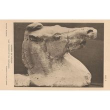 Bronze Horse Of Helios Greek Mythology Antique Statue Postcard