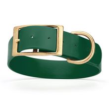 Dog Pet Collar with Brass Hardware Size XL W 1.5” L 20” - 24” Hunter Green