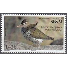 Saint-Pierre & Miquelon 2022 Oiseau Le chevalier grivelé Neuf **