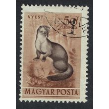 Hungary Beech marten 20fi 1953 Canc SG#1274 Sc#C114