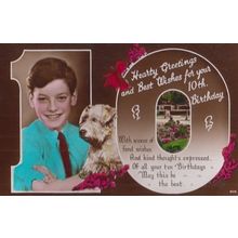 Boy With Terrier Dog Greetings Antique Old 8th Birthday Postcard