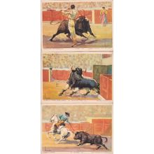 Spanish Bullfight Bullfiighting 3x Old Painting Postcard s