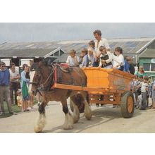 Childrens Cart Rides at Norfolk Shire Centre Horse Cromer Postcard