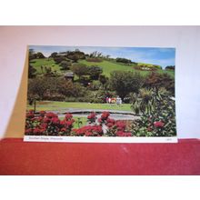 SOUTHERN SLOPES, ILFRACOMBE, DEVON unused postcard by E T W Dennis 90 =