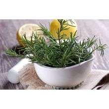 Exfoliating Body Scrub[ ]