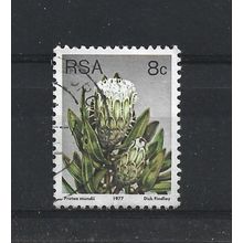 SouthAfrica.SG421 8c Protea Mundii.Fine Used.Sep25l