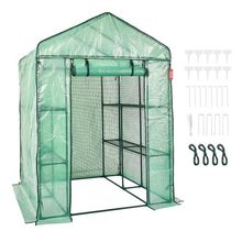 Walk-in Green House, 4.6 x 4.6 x 6.6 ft , Greenhouse with Shelves, High Stre...
